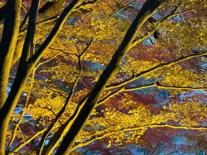 秩父御嶽神社(埼玉県)