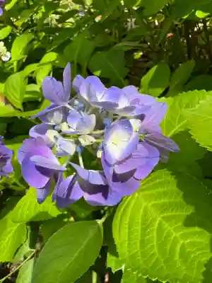 神炊館神社 ⁂奥州須賀川総鎮守⁂(福島県)
