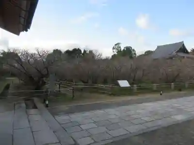 仁和寺のその他建物