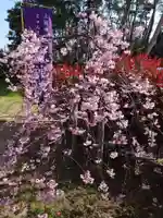 上道神社(新潟県)