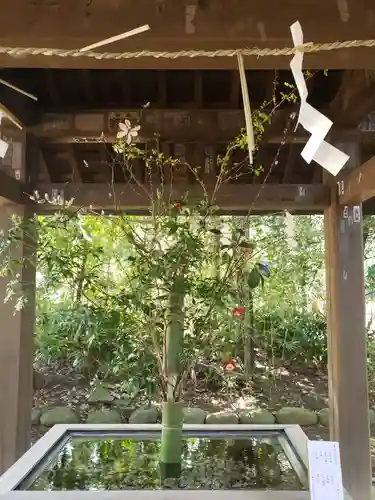 赤坂氷川神社(東京都)