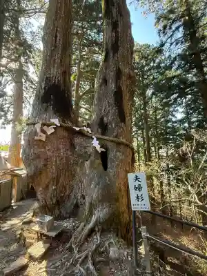 玉置神社(奈良県)