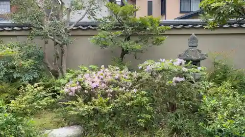 大田神社（賀茂別雷神社境外摂社）の{uncategorized: "未分類", other: "その他", undefined: "問題あり", building: "その他建物", grave: "お墓", sacred_gate: "鳥居", guardian: "狛犬", statue: "像", buddha: "仏像", history: "歴史", nature: "自然", garden: "庭園", animal: "動物", pagoda: "塔", temizu: "手水舎", mountain_gate: "山門・神門", sanctuary: "本殿・本堂", subordinate: "末社・摂社", art: "芸術", scenery: "景色", jizo: "地蔵", ema: "絵馬", goshuin: "御朱印", omikuji: "おみくじ", items: "授与品その他", amulet: "お守り", goshuincho: "御朱印帳", eats: "食事", festival: "お祭り", votive_dance: "神楽", shichigosan: "七五三参", wedding: "結婚式", experience: "体験その他", initially: "初詣", around: "周辺", anti_infection: "感染症対策"}