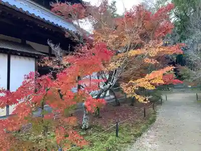 井山 宝福寺(岡山県)