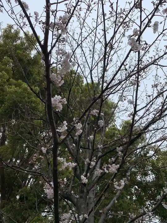三輪神社の自然