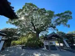 朝田寺(三重県)