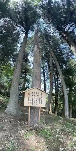 子檀嶺神社(長野県)