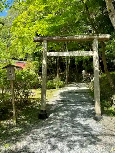 出雲大神宮の鳥居