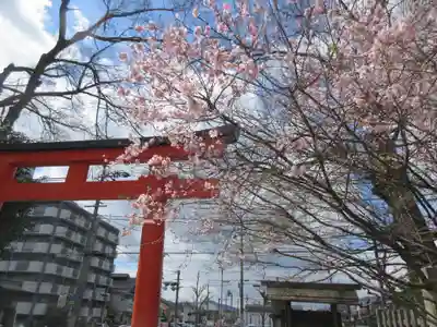 平野神社のその他建物