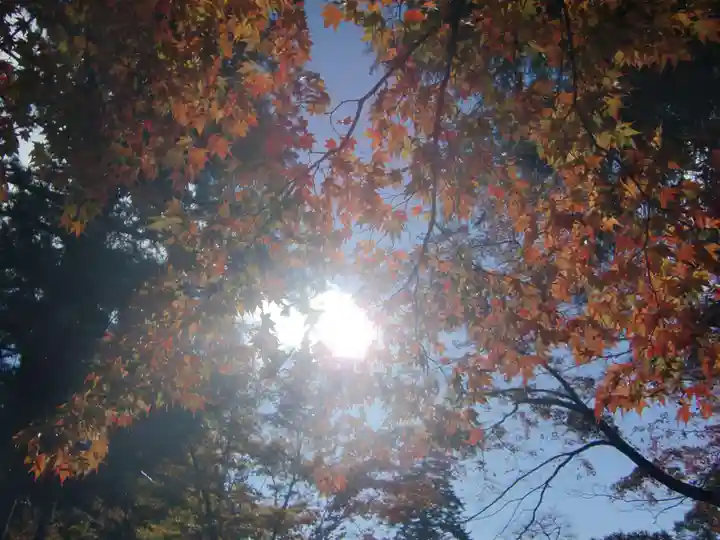 華厳寺(岐阜県)