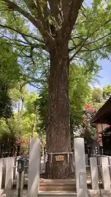 田無神社(東京都)