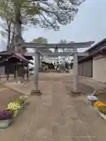 諏訪神社(埼玉県)