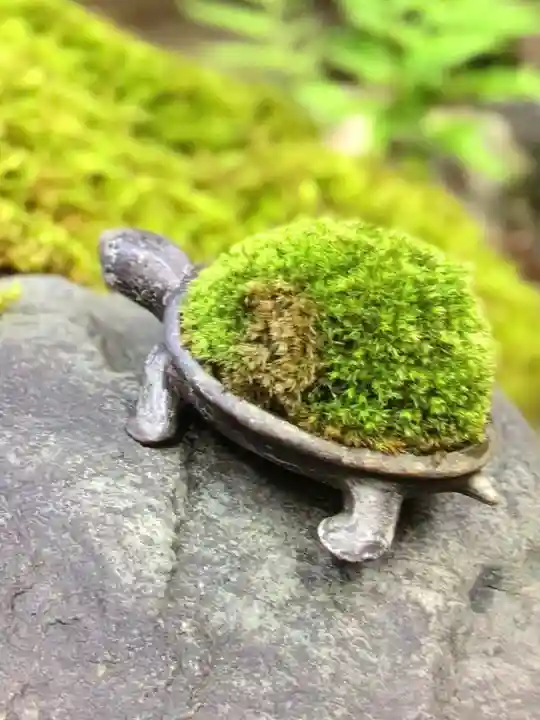 陽運寺(東京都)