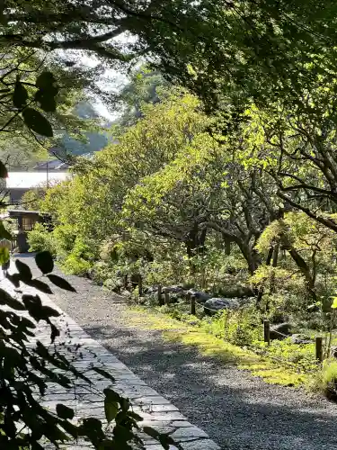瑞泉寺(神奈川県)