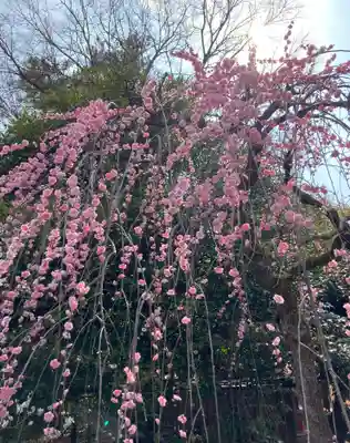 北野天満宮(京都府)