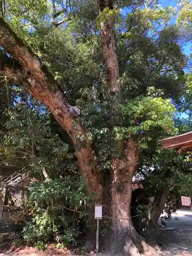 白鳥神社のその他建物