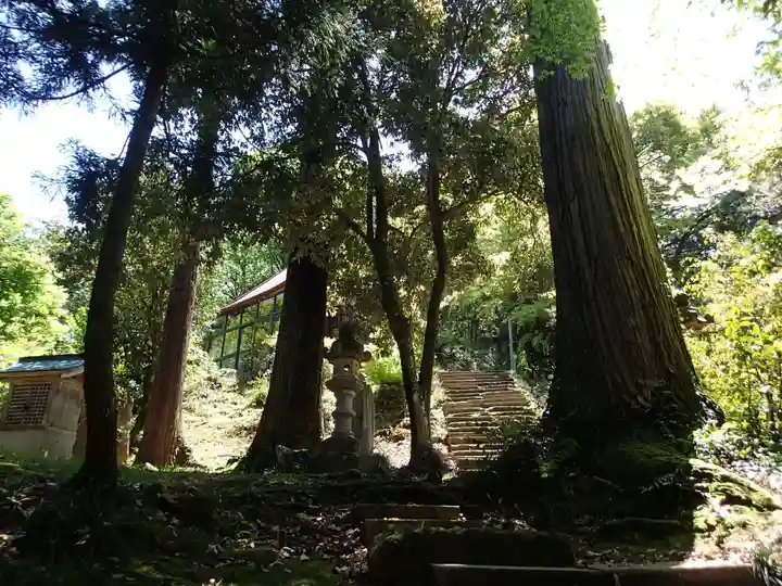 瀧浪神社の自然