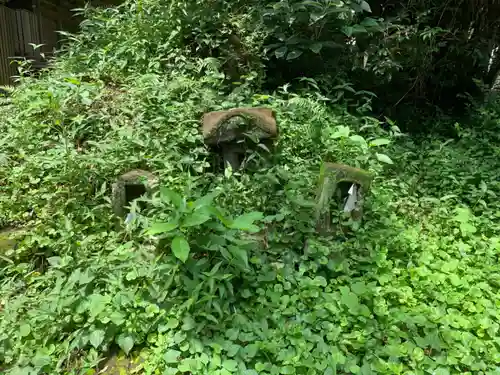 諏訪神社の自然