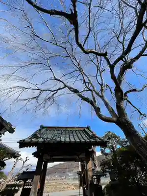 長光寺の山門・神門