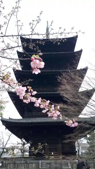 東寺(教王護国寺)(京都府)