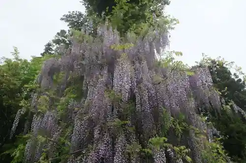 古峯神社の庭園