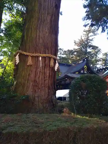 香取神宮(千葉県)