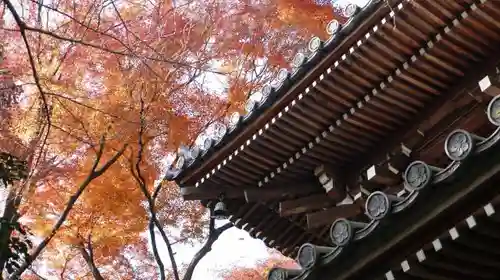 観音寺（山崎聖天）の本殿・本堂
