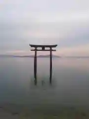 白鬚神社の鳥居