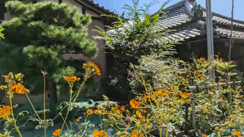 安養寺(京都府)