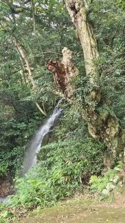 出雲大社北島国造館 出雲教(島根県)