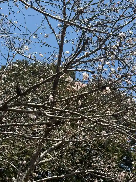 忠興八幡神社の{uncategorized: "未分類", other: "その他", undefined: "問題あり", building: "その他建物", grave: "お墓", sacred_gate: "鳥居", guardian: "狛犬", statue: "像", buddha: "仏像", history: "歴史", nature: "自然", garden: "庭園", animal: "動物", pagoda: "塔", temizu: "手水舎", mountain_gate: "山門・神門", sanctuary: "本殿・本堂", subordinate: "末社・摂社", art: "芸術", scenery: "景色", jizo: "地蔵", ema: "絵馬", goshuin: "御朱印", omikuji: "おみくじ", items: "授与品その他", amulet: "お守り", goshuincho: "御朱印帳", eats: "食事", festival: "お祭り", votive_dance: "神楽", shichigosan: "七五三参", wedding: "結婚式", experience: "体験その他", initially: "初詣", around: "周辺", anti_infection: "感染症対策"}