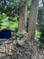 日枝神社(千葉県)