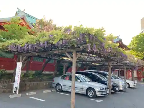 神田神社（神田明神）の自然