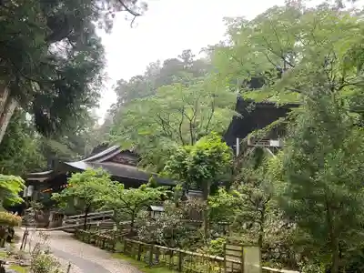 太龍寺(徳島県)