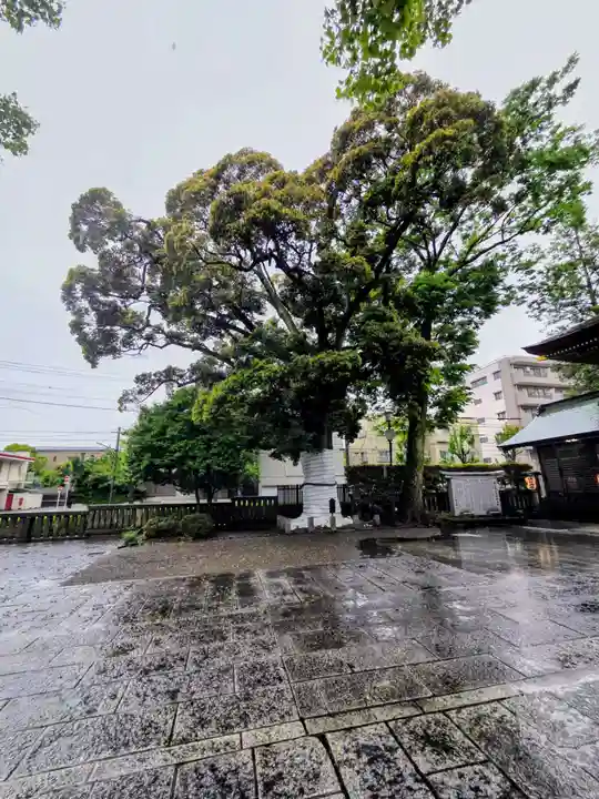 八幡大神社(東京都)