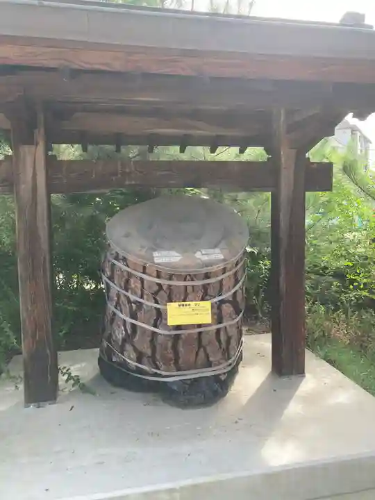 饒津神社(広島県)