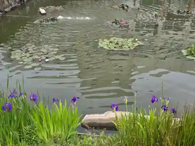 宇賀神社(大阪府)