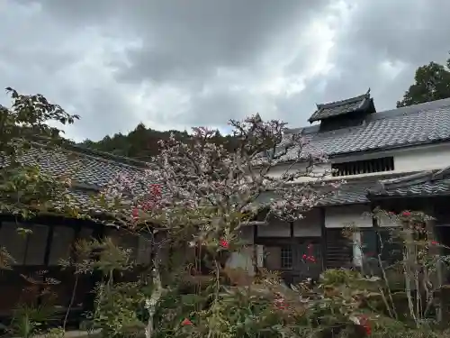 聖林寺の{uncategorized: "未分類", other: "その他", undefined: "問題あり", building: "その他建物", grave: "お墓", sacred_gate: "鳥居", guardian: "狛犬", statue: "像", buddha: "仏像", history: "歴史", nature: "自然", garden: "庭園", animal: "動物", pagoda: "塔", temizu: "手水舎", mountain_gate: "山門・神門", sanctuary: "本殿・本堂", subordinate: "末社・摂社", art: "芸術", scenery: "景色", jizo: "地蔵", ema: "絵馬", goshuin: "御朱印", omikuji: "おみくじ", items: "授与品その他", amulet: "お守り", goshuincho: "御朱印帳", eats: "食事", festival: "お祭り", votive_dance: "神楽", shichigosan: "七五三参", wedding: "結婚式", experience: "体験その他", initially: "初詣", around: "周辺", anti_infection: "感染症対策"}