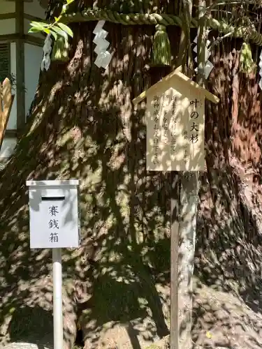 丹生川上神社（中社）(奈良県)