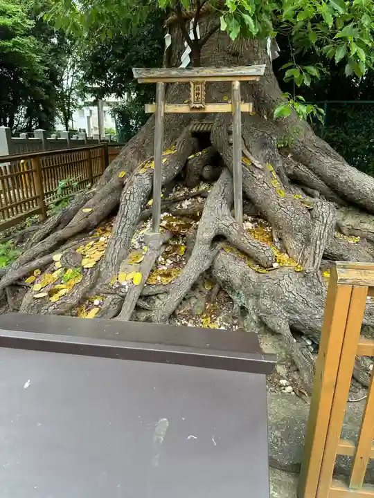 和泉國一之宮 大鳥大社(大阪府)