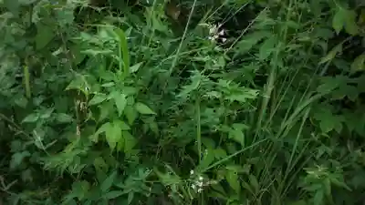 尾張猿田彦神社の周辺