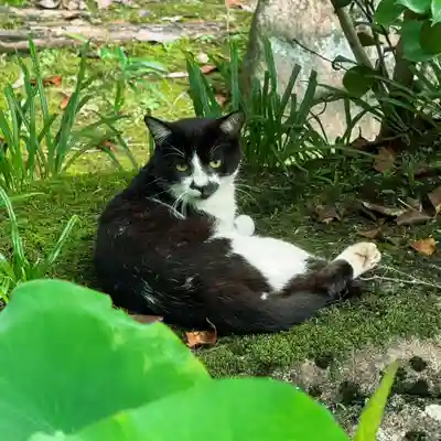 伊勢の国 四天王寺(三重県)