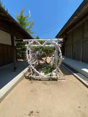 白兎神社のおみくじ