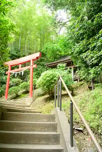 武州柿生琴平神社の鳥居