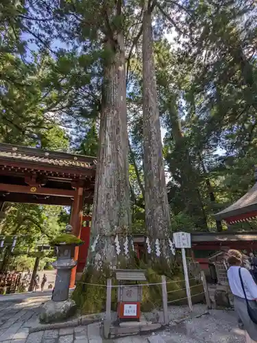 日光二荒山神社(栃木県)