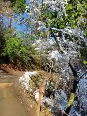 天龍寺の周辺