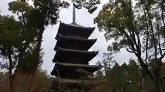 仁和寺の塔