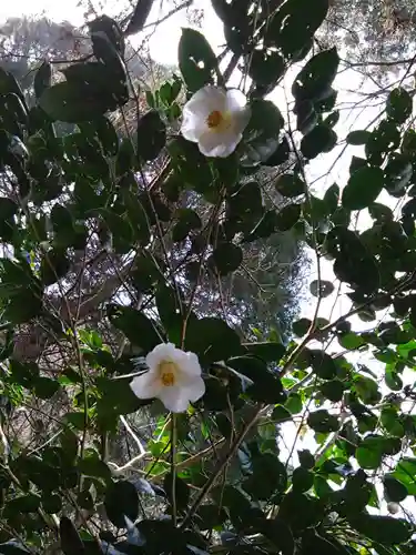 幣立神宮(熊本県)