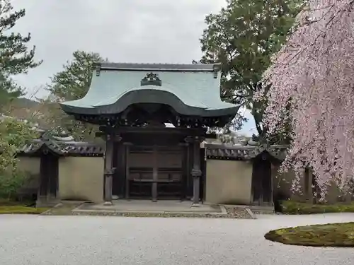 高台寺（高台寿聖禅寺・高臺寺）(京都府)