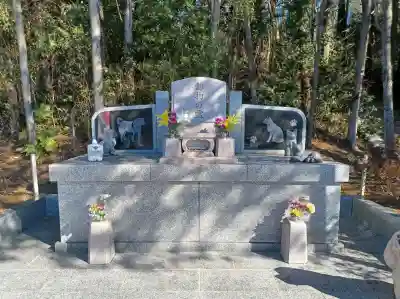 少林寺の{uncategorized: "未分類", other: "その他", undefined: "問題あり", building: "その他建物", grave: "お墓", sacred_gate: "鳥居", guardian: "狛犬", statue: "像", buddha: "仏像", history: "歴史", nature: "自然", garden: "庭園", animal: "動物", pagoda: "塔", temizu: "手水舎", mountain_gate: "山門・神門", sanctuary: "本殿・本堂", subordinate: "末社・摂社", art: "芸術", scenery: "景色", jizo: "地蔵", ema: "絵馬", goshuin: "御朱印", omikuji: "おみくじ", items: "授与品その他", amulet: "お守り", goshuincho: "御朱印帳", eats: "食事", festival: "お祭り", votive_dance: "神楽", shichigosan: "七五三参", wedding: "結婚式", experience: "体験その他", initially: "初詣", around: "周辺", anti_infection: "感染症対策"}